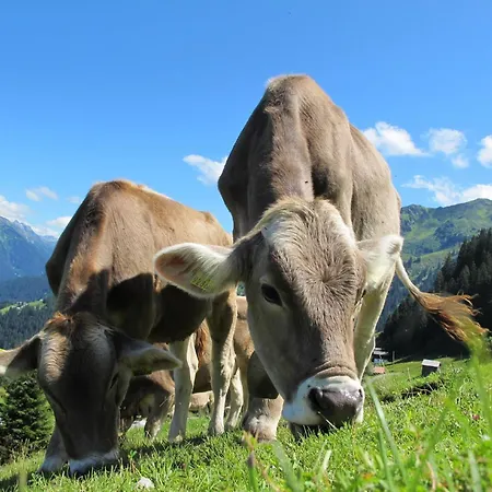 Loehnersbach * Saalbach-Hinterglemm